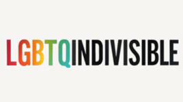 Indivisible Chicago Northeast